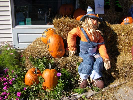 Pumpkins and a scarecrow at the Egg Harbor Pumpkin Patch Festival.