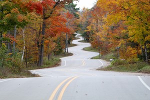 A open and super curvy road flanked by trees in fall color