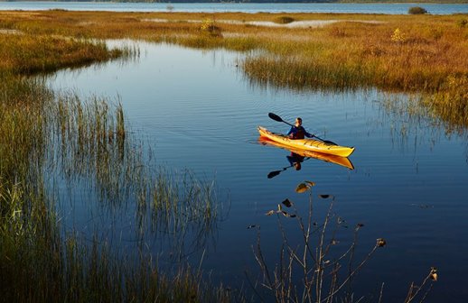 A kayaker on Rieboldt Creek.