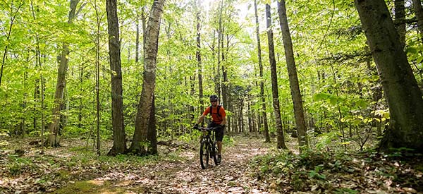 A person biking on a wooded trail